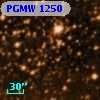 PGMW 1250