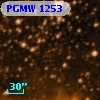 PGMW 1253