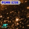PGMW 1258