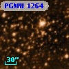 PGMW 1264