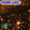 PGMW 1265