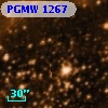 PGMW 1267
