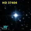 HD  37404