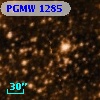 PGMW 1285