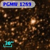 PGMW 1289