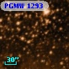 PGMW 1293