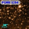 PGMW 1294