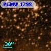 PGMW 1298