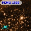 PGMW 1300