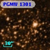 PGMW 1301