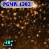 PGMW 1302