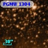 PGMW 1304