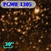 PGMW 1305