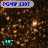 PGMW 1307