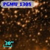 PGMW 1308
