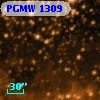 PGMW 1309