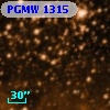 PGMW 1315