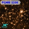 PGMW 1316