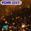 PGMW 1317