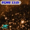 PGMW 1319
