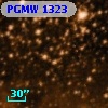 PGMW 1323