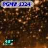 PGMW 1324