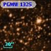 PGMW 1325