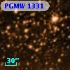 PGMW 1331