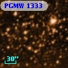 PGMW 1333