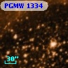 PGMW 1334