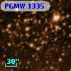 PGMW 1335