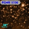 PGMW 1336