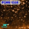 PGMW 1339