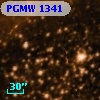 PGMW 1341
