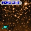 PGMW 1349