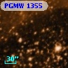 PGMW 1355