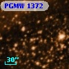 PGMW 1372