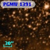 PGMW 1391