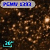 PGMW 1393