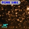 PGMW 1401