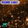 PGMW 1403