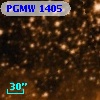 PGMW 1405