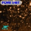 PGMW 1407