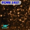 PGMW 1417