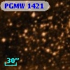 PGMW 1421