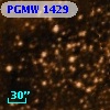 PGMW 1429