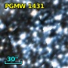 PGMW 1431