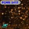 PGMW 1437