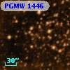 PGMW 1446