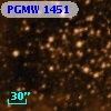 PGMW 1451